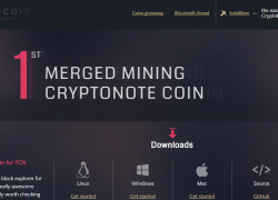 Криптовалюта Fantomcoin (FCN): обзор, рекомендации, перспективы