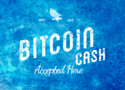 Запланированный на май хардфорк Bitcoin Cash (BCH) приближается