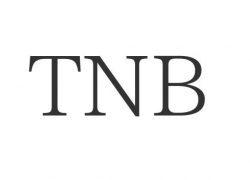 Криптовалюта TNB: суть и перспективы проекта Time New Bank