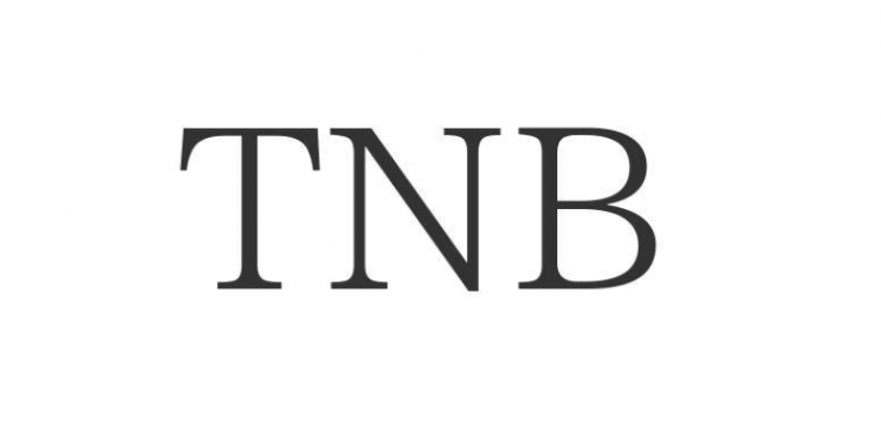 Криптовалюта TNB: суть и перспективы проекта Time New Bank