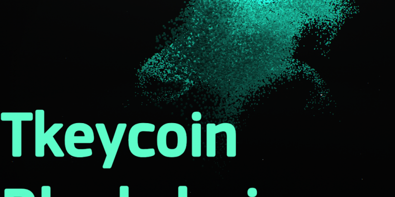 Обзор Tkeycoin: очередное ICO или что готовят нам разработчики в этом году?